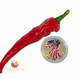 Jimmy Nardello Pepper