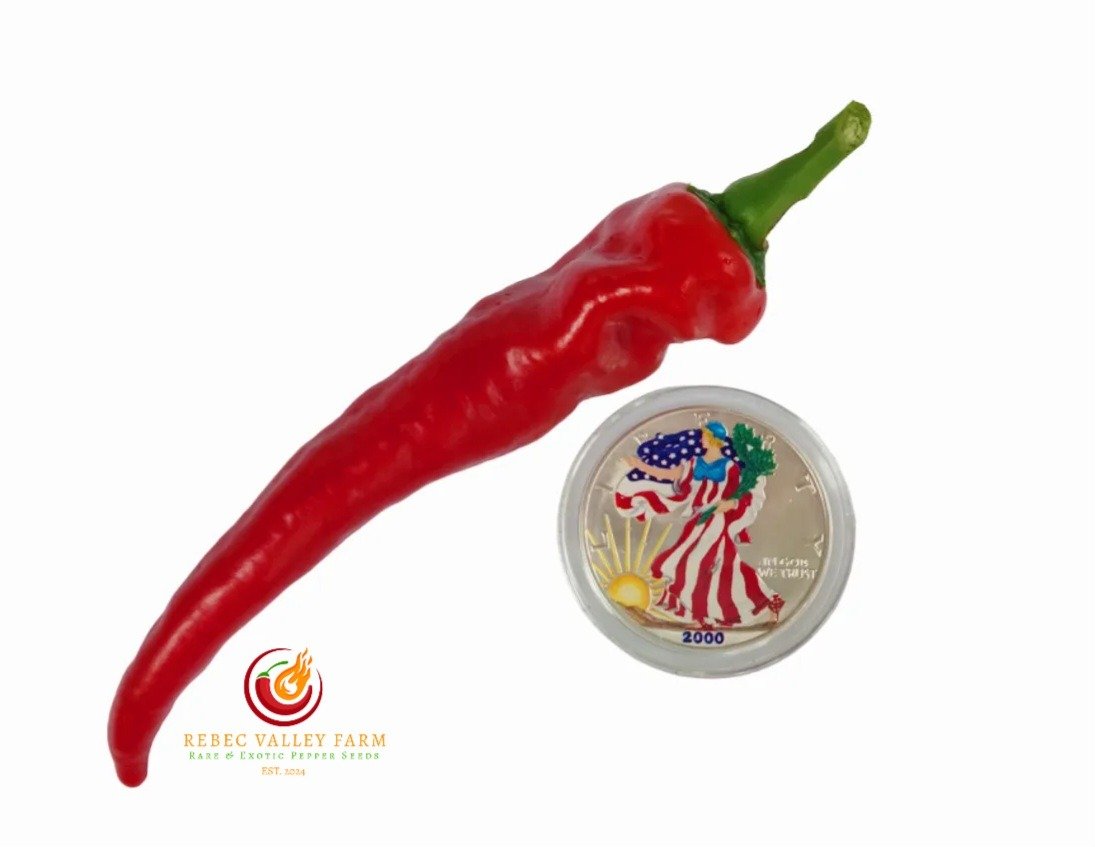 Jimmy Nardello Pepper