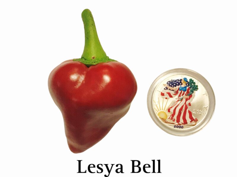 Lesya (Ukrainian Heart) Pepper