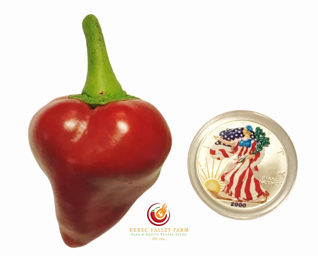 Lesya (Ukrainian Heart) Pepper