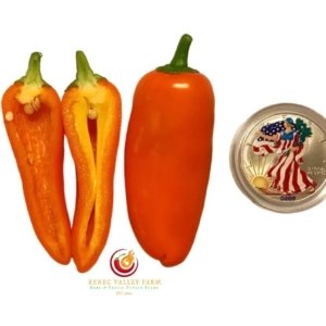 Lunchbox Orange Pepper