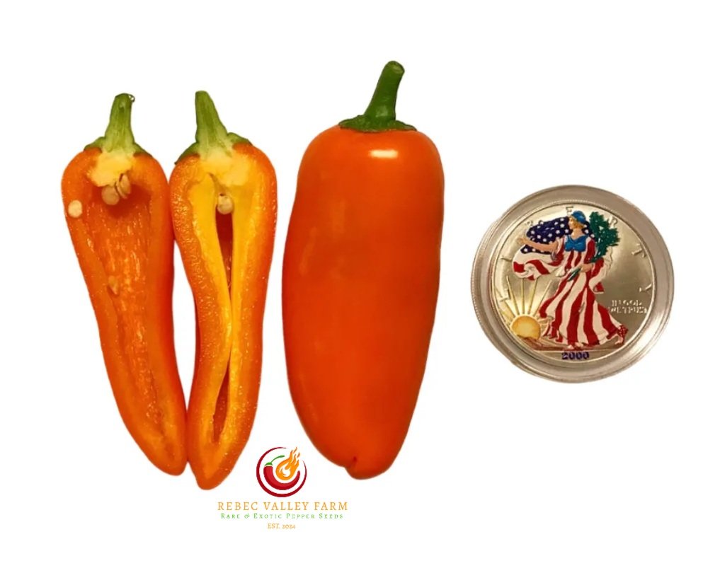 Lunchbox Orange Pepper