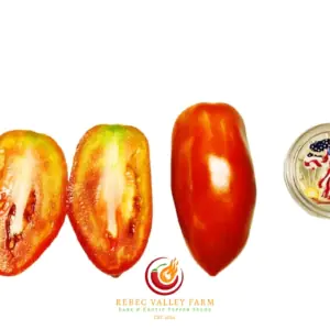 Maida's Kootenai Giant Tomato | Rebec Valley Farm