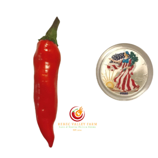 Murasaki Purple Pepper