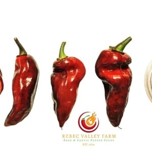 Naga Smooky Rainbow Pepper