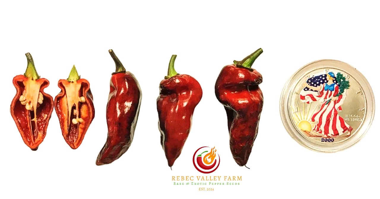 Naga Smooky Rainbow Pepper