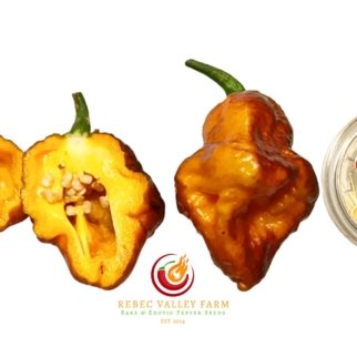 Nazgul's Pumpkin Pie Pepper