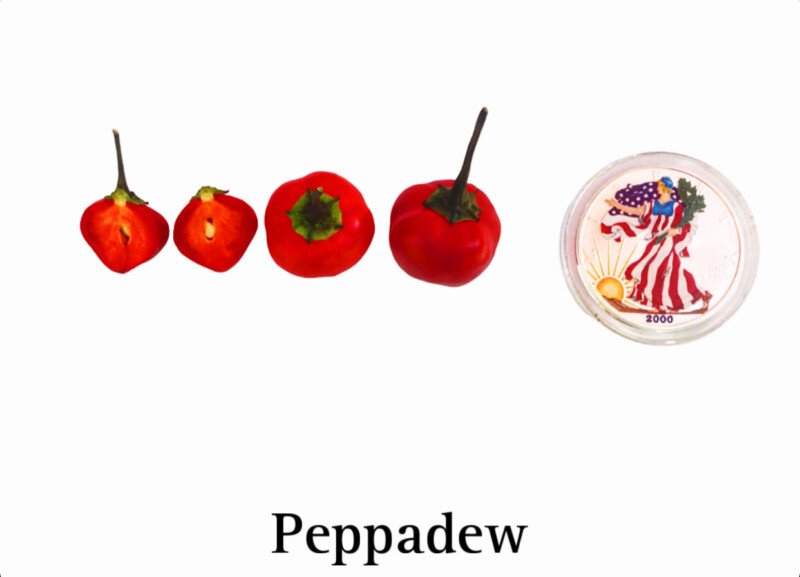 Peppadew Pepper