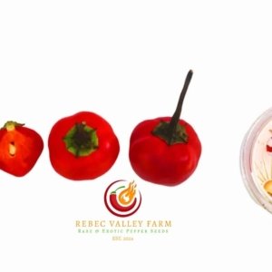 Peppadew Pepper