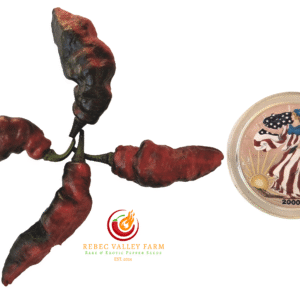 Piment Leopard Pepper