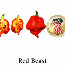 Red Beast Superhot Pepper