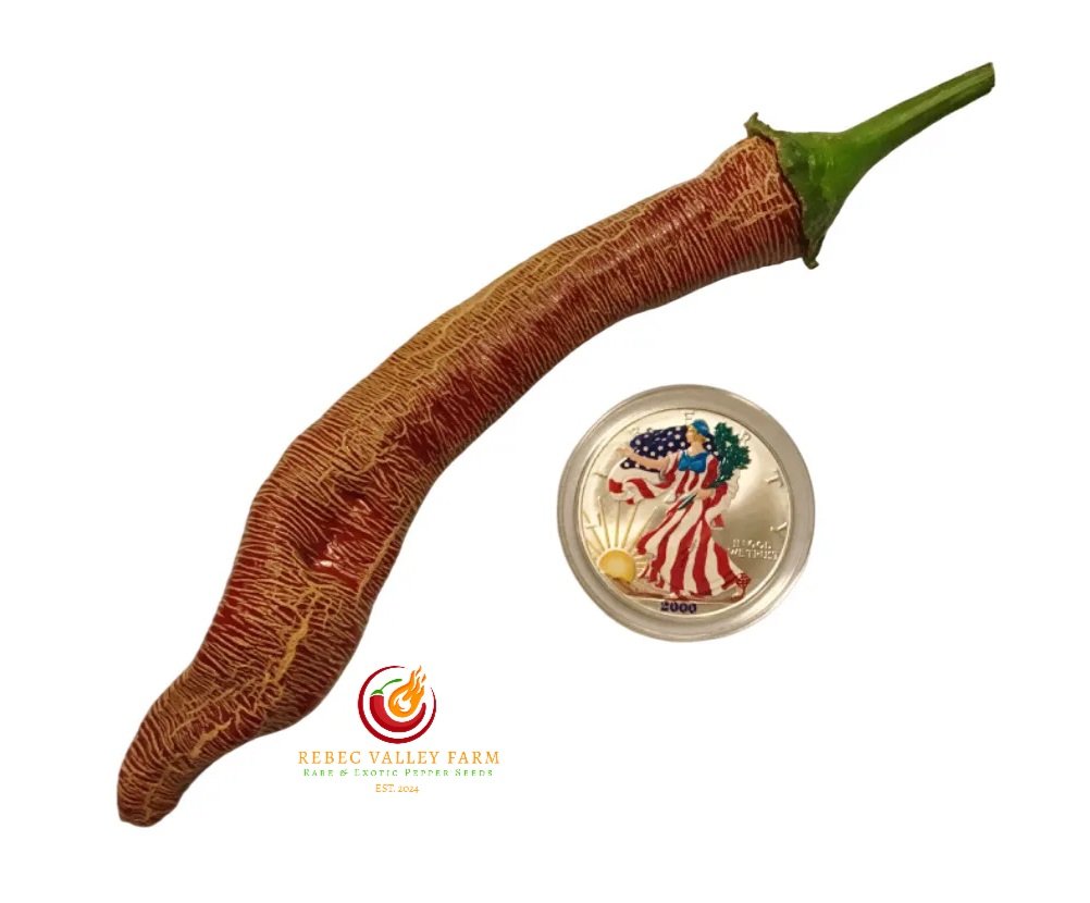 Rezha Macedonian Pepper