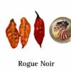 Rogue Noir Pepper