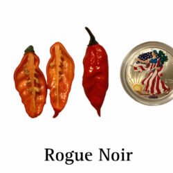 Rogue Noir Pepper