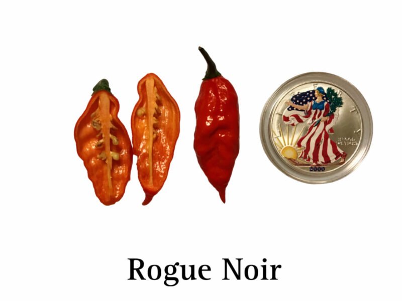 Rogue Noir Pepper