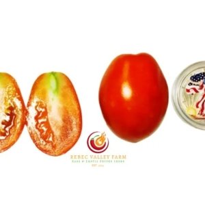 San Marzano Redorta Tomato