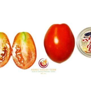 San Marzano Redorta Tomato