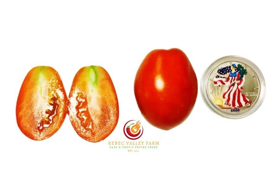 San Marzano Redorta Tomato