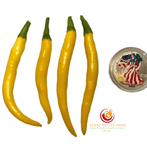 Star Flame Yellow Pepper