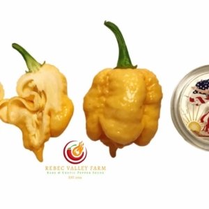 Star Scream Twisted Pepper