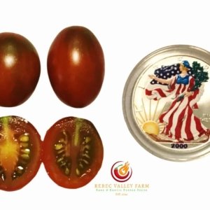 Stormin' Norman Tomato