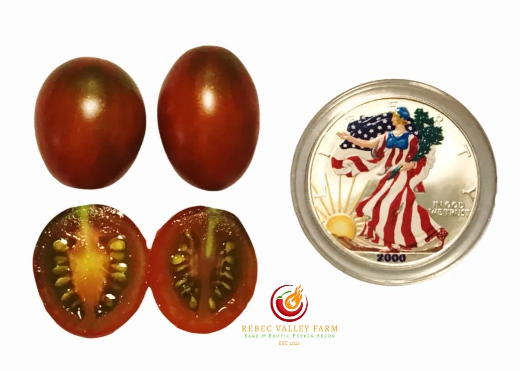 Stormin' Norman Tomato