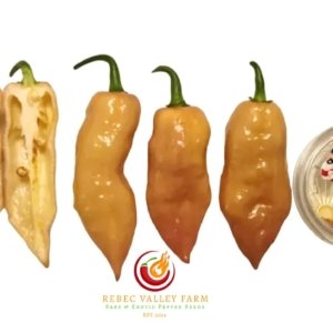 Taj Mahal Pink Peach Pepper