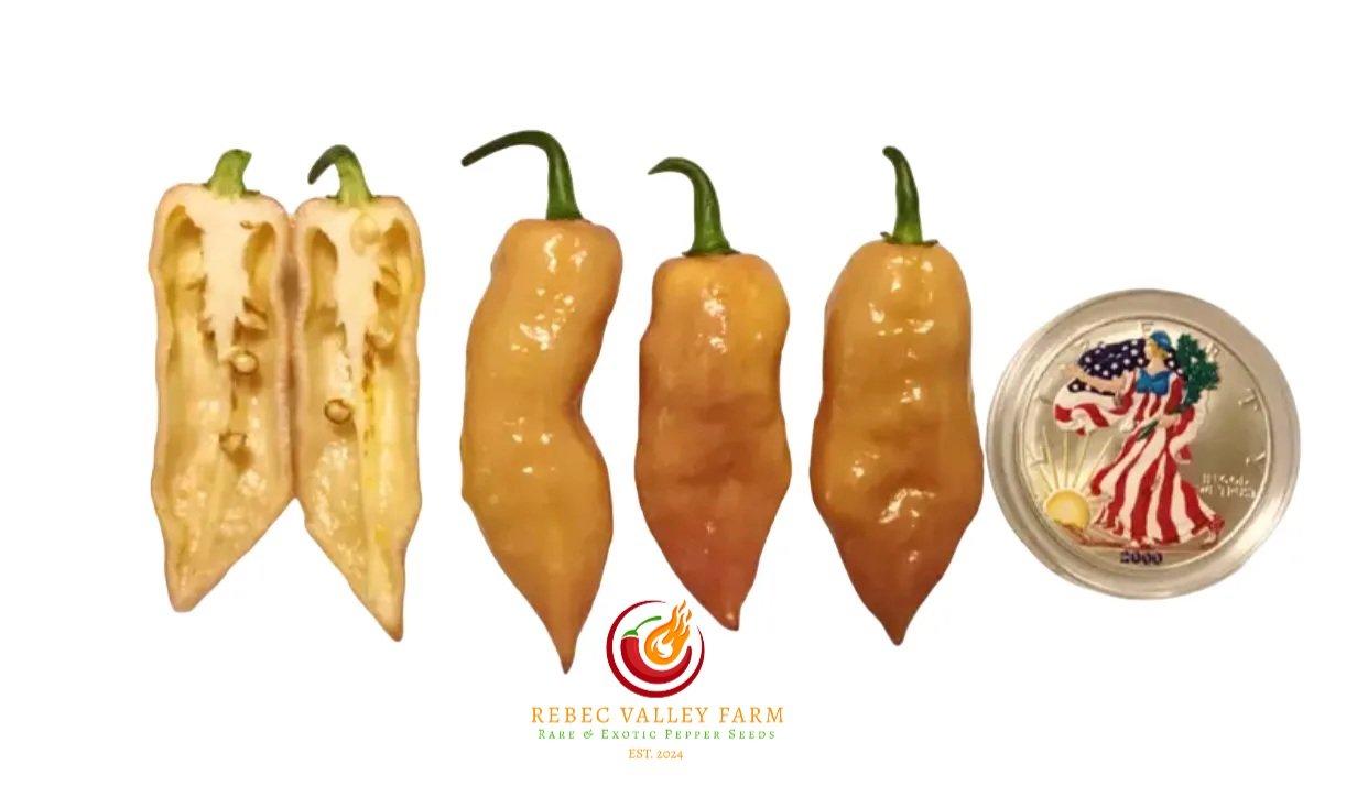 Taj Mahal Pink Peach Pepper