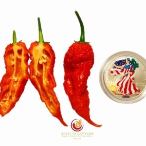 Tiberius Mauler Pepper