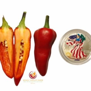 Tiger Jalapeno Pepper