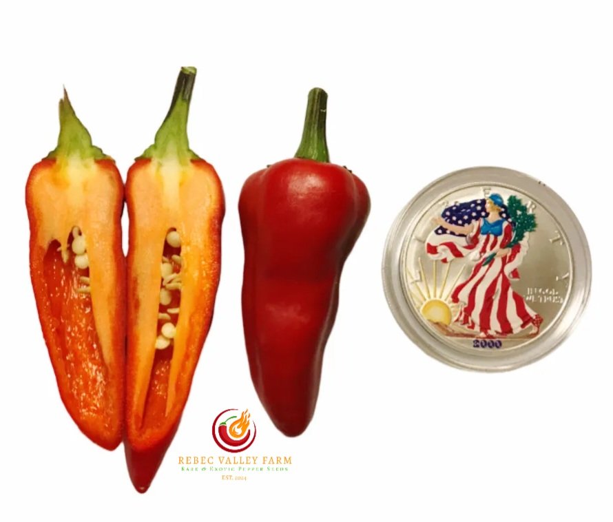 Tiger Jalapeno Pepper