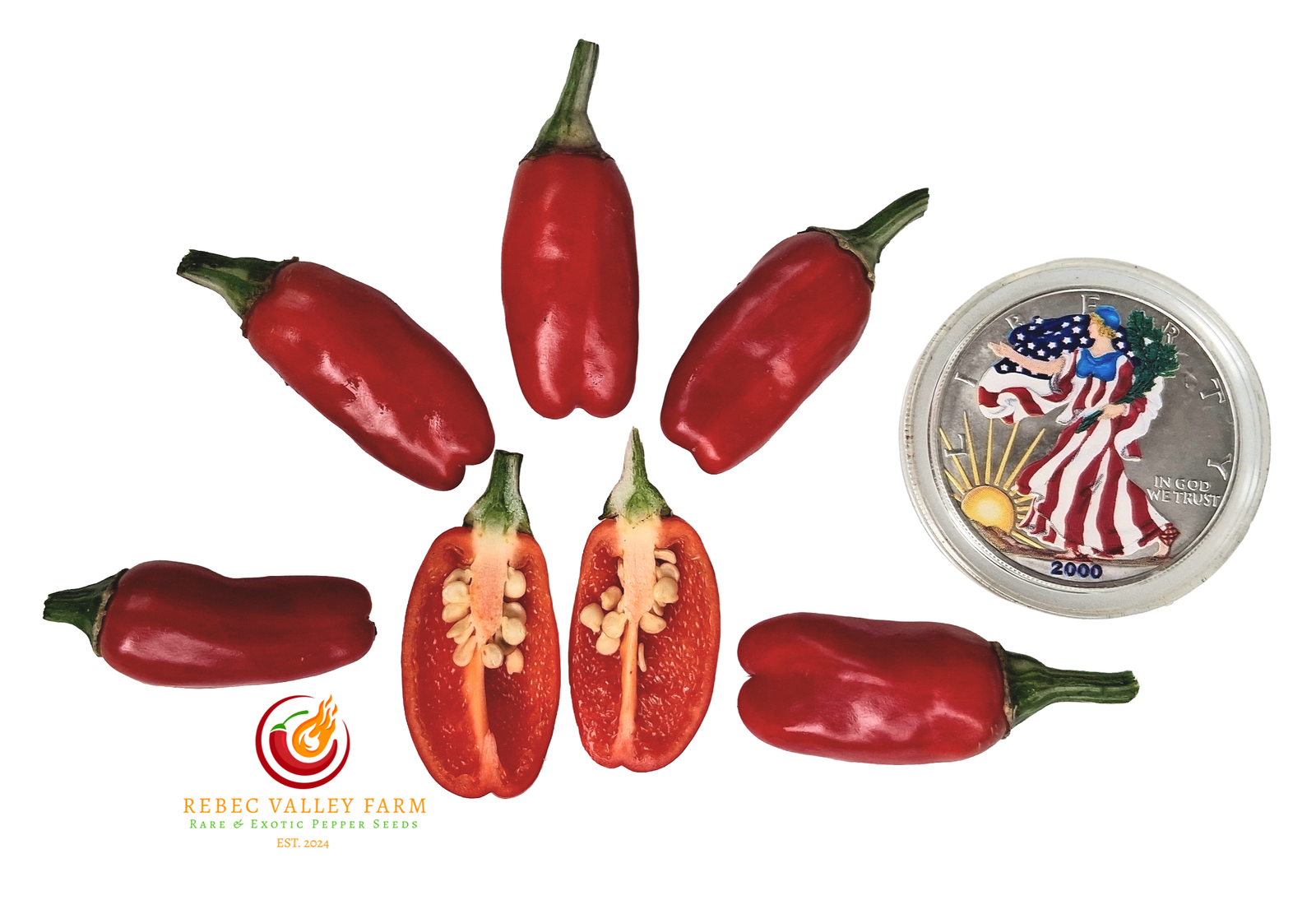 Candy Cane Pepper, Variegated