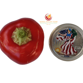 Klari Baby Cheese Pepper