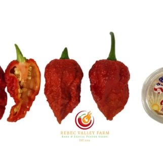 7 Pot Chocolate Bubblegum Pepper