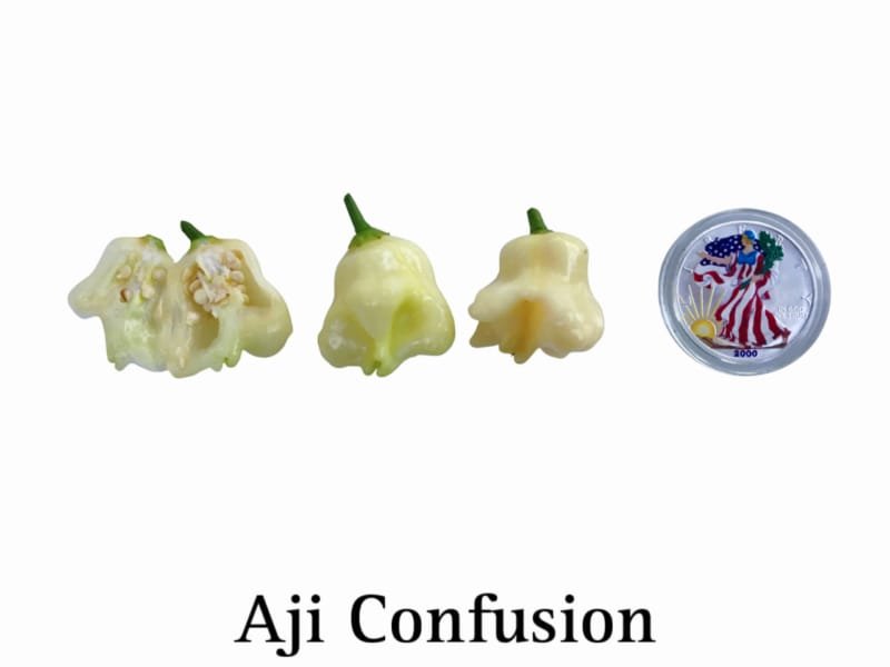Aji Confusion Pepper