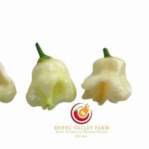 Aji Confusion Pepper
