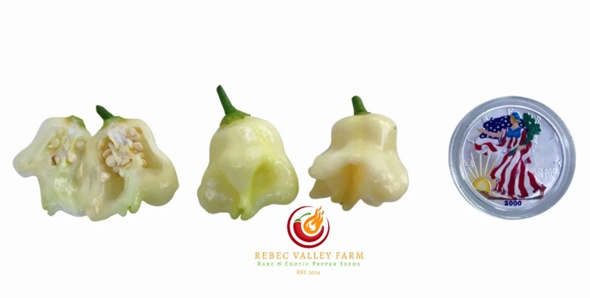 Aji Confusion Pepper
