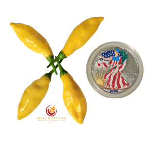 Aji Limon (Lemon Drop) Pepper