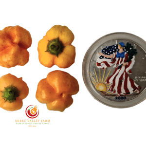 Aji Mango Stumpy Pepper