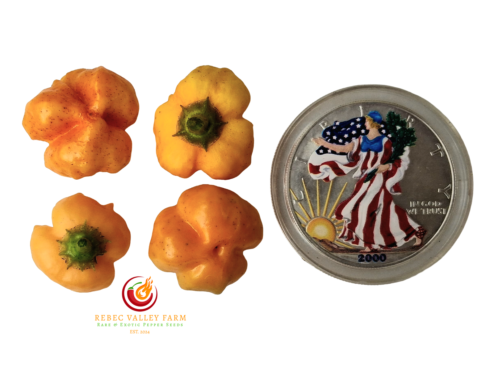 Aji Mango Stumpy Pepper