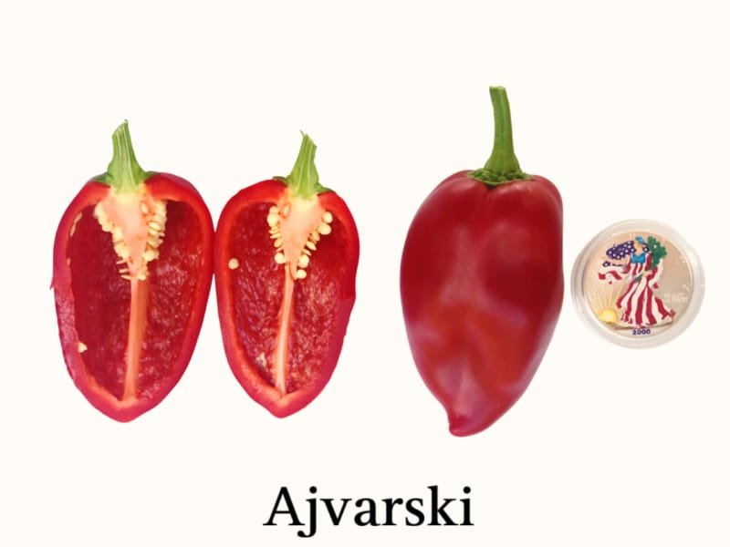 Ajvarski Pepper Seeds