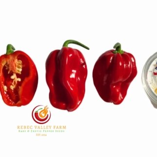 Arroz Con Pollo Pepper