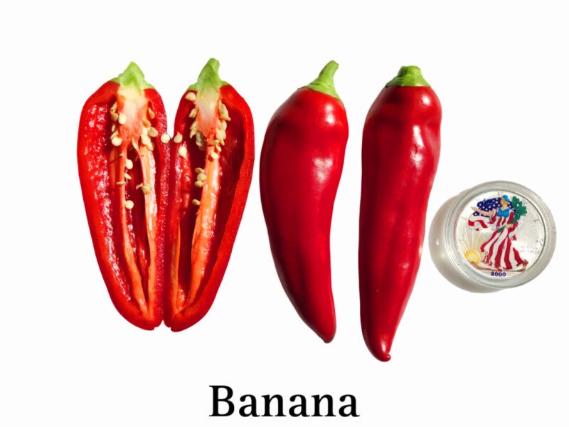 Banana Pepper