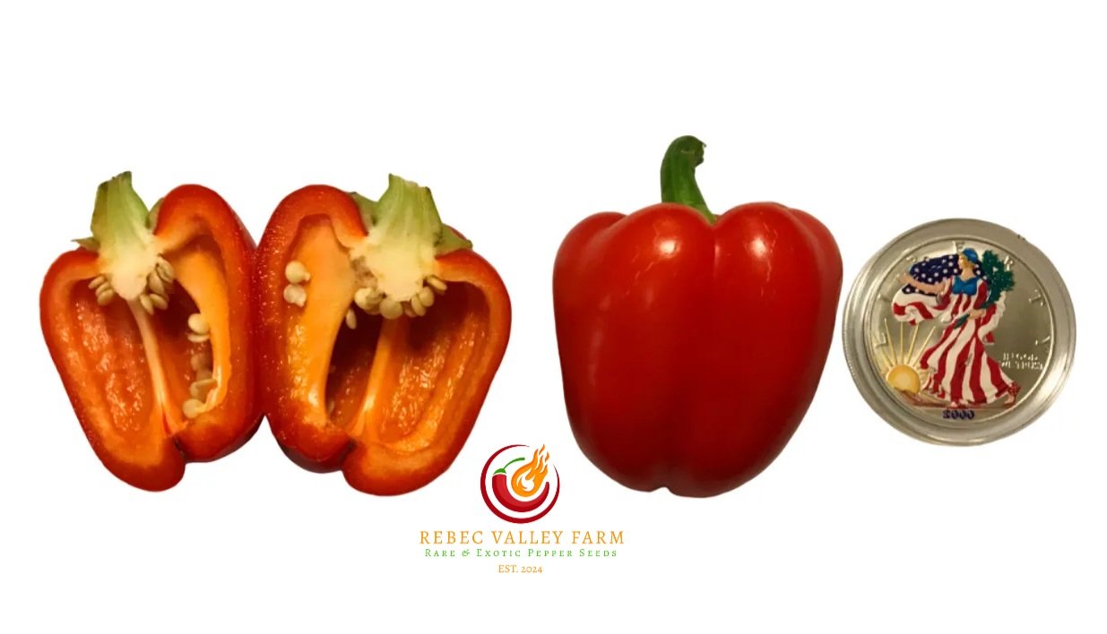 Albino Bell Pepper