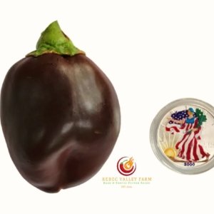 Chocolate Bell Pepper