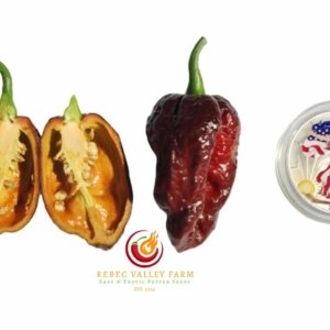 Chocolate Bhutlah Pepper