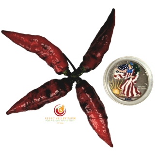 Blood Ghost Pepper
