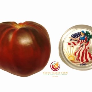 Brad's Black Heart Tomato