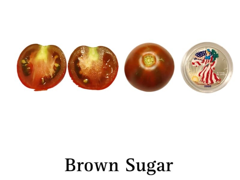 Brown Sugar Tomato