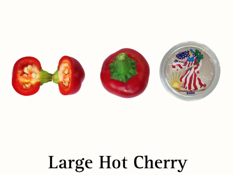 Cherry Pepper, Large Hot